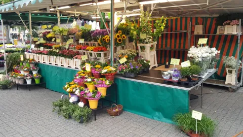 Wochenmarkt Blumenstand