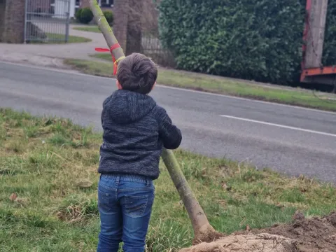 Baumpflanzaktion Schiefbahner Straße Willich 02 2025