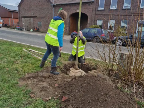 Baumpflanzaktion Schiefbahner Straße Willich 02 2025