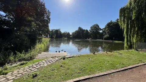 Teich Konrad-Adenauer-Park Willich 