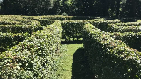 Hecken-Labyrinth im Schlosspark Neersen 