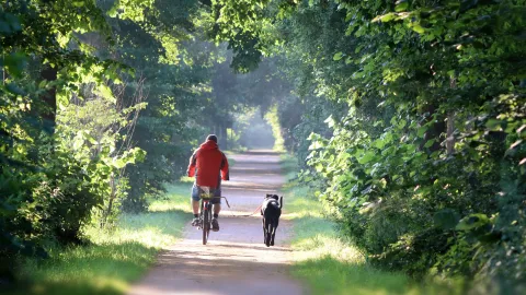 Fahrradfahrer mit Hund auf Fahrradweg