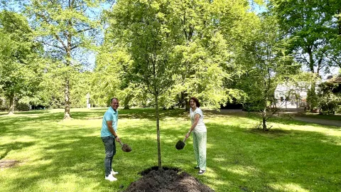 Pflanzung der Stadtbirne im Schlosspark