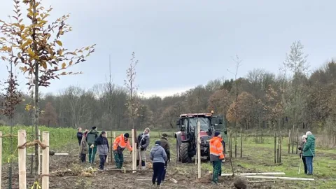 Pflanzaktion Büttgerwald Herbst 2024