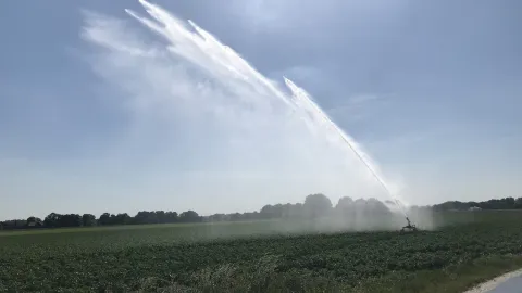 Wassersprenger auf Feld 